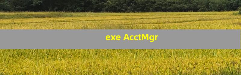 exe AcctMgr